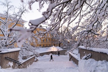 Photo: University of Turku